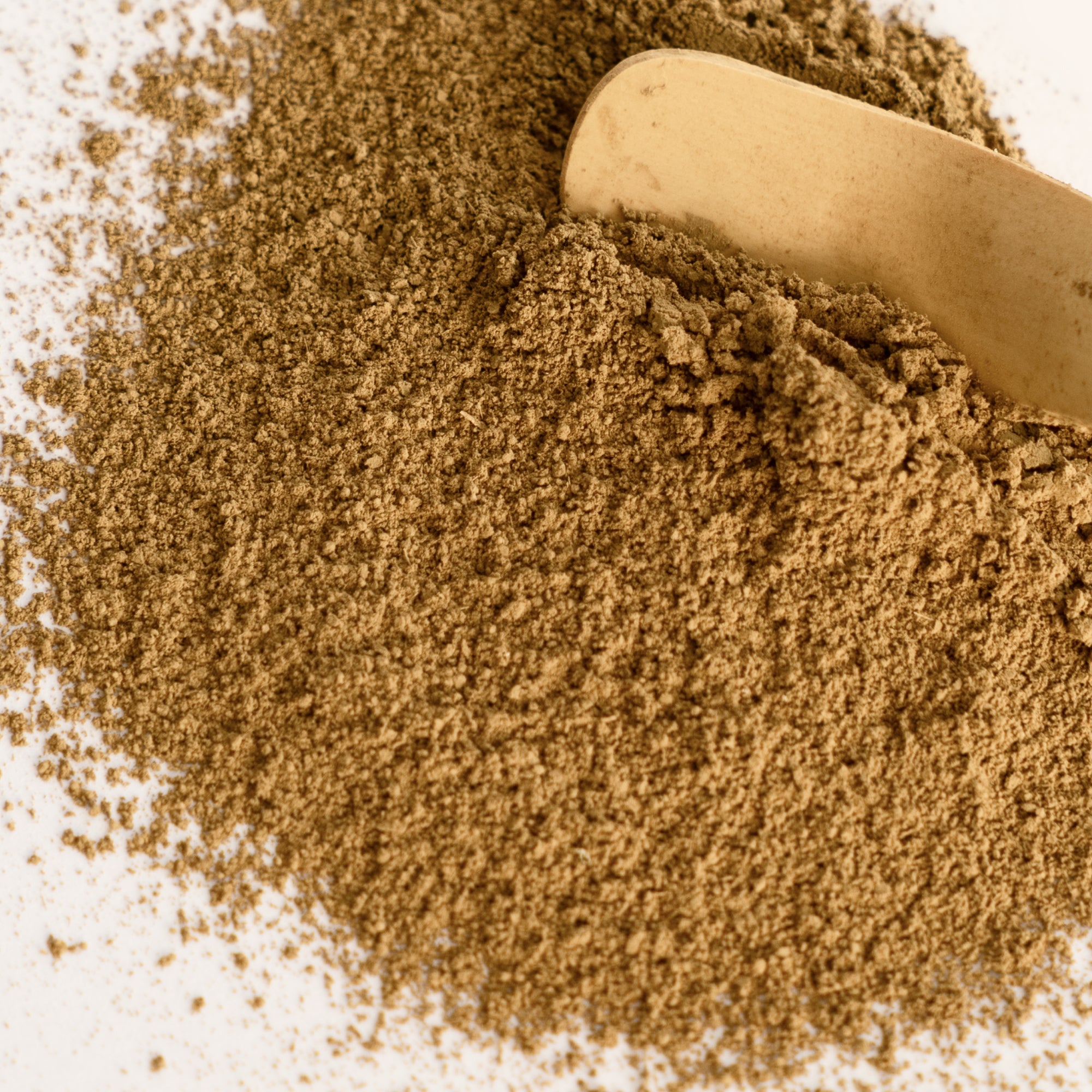 Hōjicha